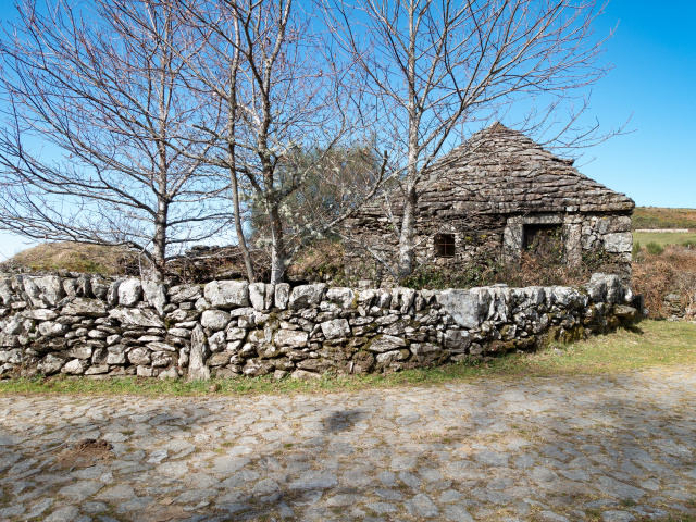 Branda de San Antonio (1)