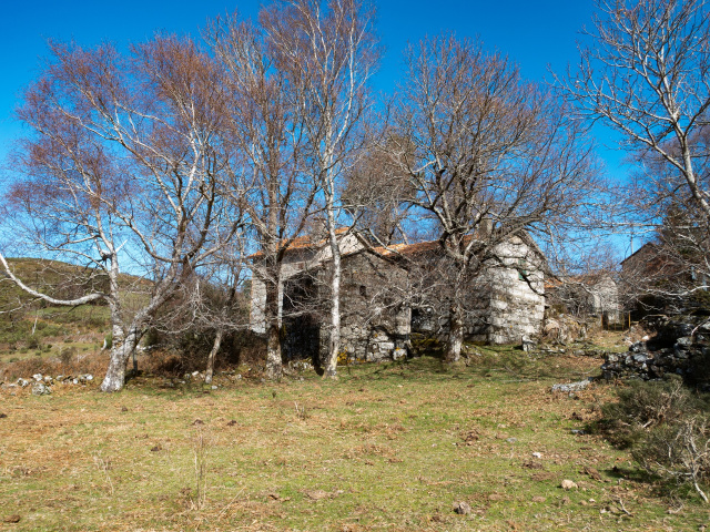 Branda de San Antonio (3)