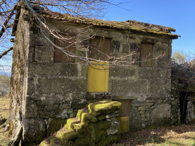 Branda de San Antonio (10)