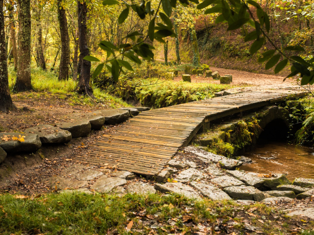 Febres Bridge, Ribadelouro